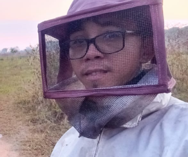 APICULTOR CERAS MENESSINI