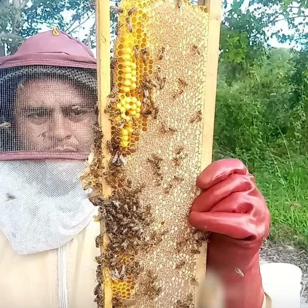 Copia de Copia de Copia de WhatsApp Image 2026-01-28 at 5.44.02 PM (1)