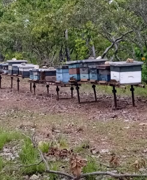 WhatsApp Image 2026-01-28 at 5.36.56 PM (1)