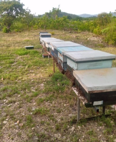 WhatsApp Image 2026-01-28 at 5.44.01 PM