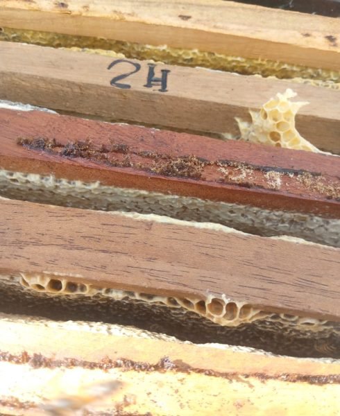 WhatsApp Image 2026-01-28 at 5.44.02 PM (2)