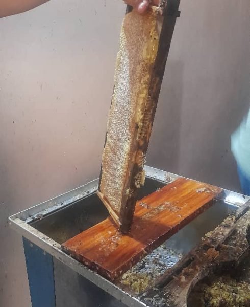 WhatsApp Image 2026-01-28 at 5.52.00 PM (1)