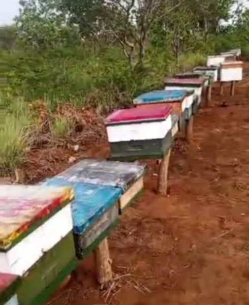 WhatsApp Image 2026-01-30 at 7.58.33 AM (1)