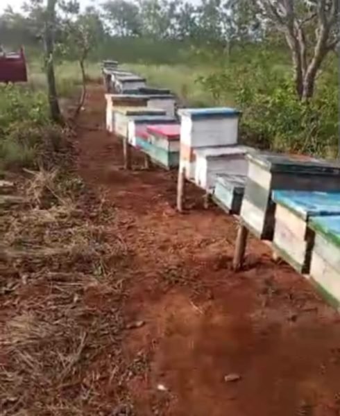 WhatsApp Image 2026-01-30 at 7.58.34 AM